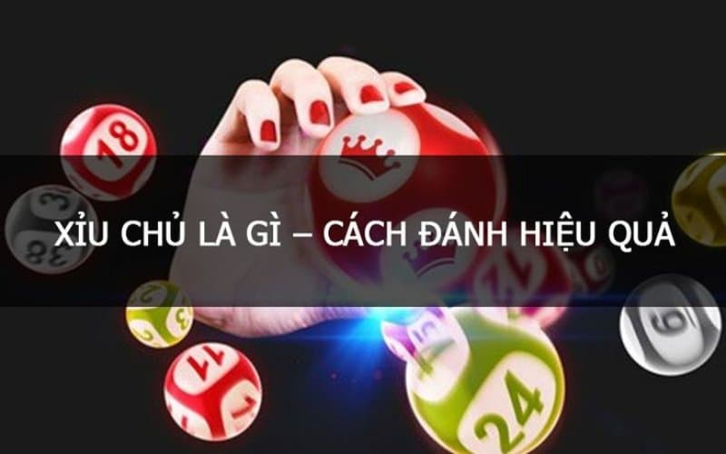 Mẹo chơi xỉu chủ cực kỳ hiệu quả