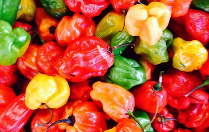 Những ứng dụng đặc biệt của ớt Habanero