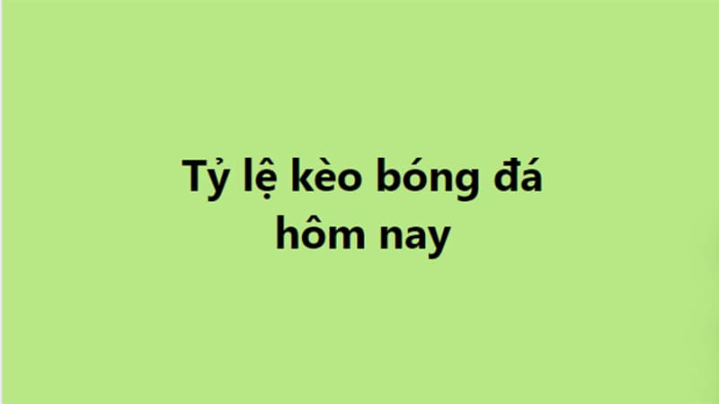 Tầm quan trọng của các tỷ lệ kèo trong cá cược thể thao